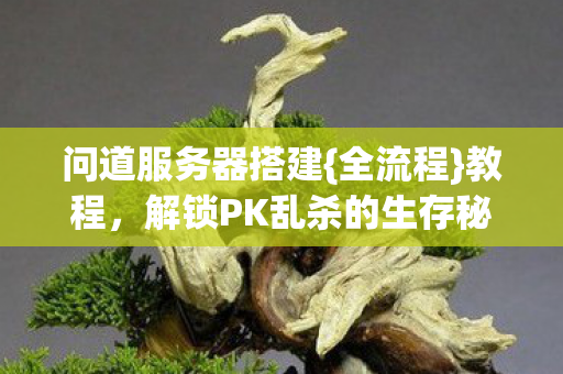 问道服务器搭建{全流程}教程，解锁PK乱杀的生存秘籍