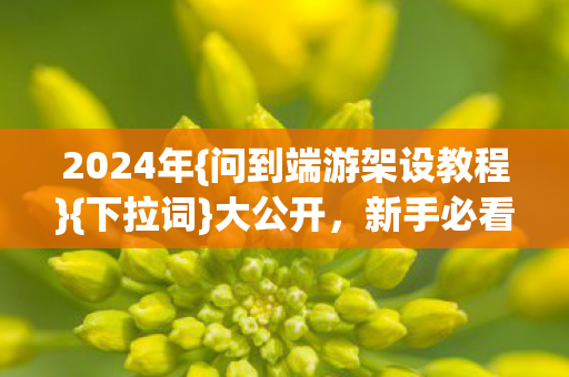问到端游架设教程图片
