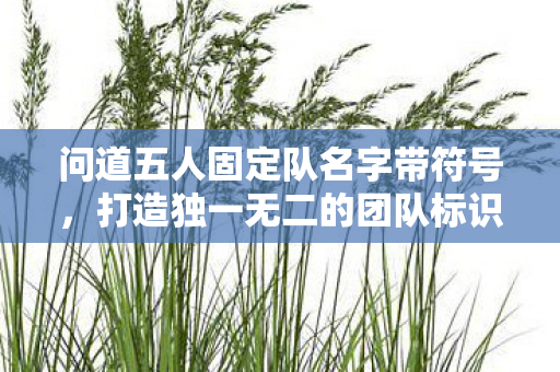 问道五人固定队名字带符号,打造独一无二的团队标识,问道五人固定队独特符号命名,塑造专属团队魅力! 问道五人固定队名字带符号,打造独一无二的团队标识,问道五人固定队独特符号命名,塑造专属团队魅力!