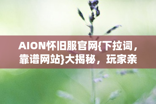 AION怀旧服官网图片