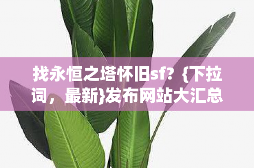 找永恒之塔怀旧sf图片