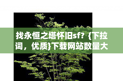 找永恒之塔怀旧sf图片