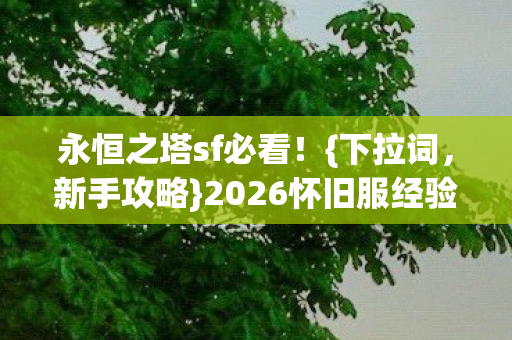 2026怀旧服经验大公开图片