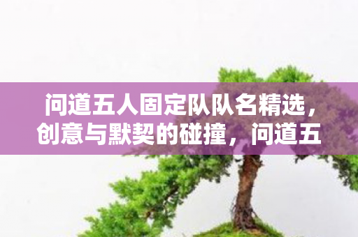 问道五人固定队队名精选,创意与默契的碰撞,问道五人行,创意与默契的固定队名精选 问道五人固定队队名精选,创意与默契的碰撞,问道五人行,创意与默契的固定队名精选