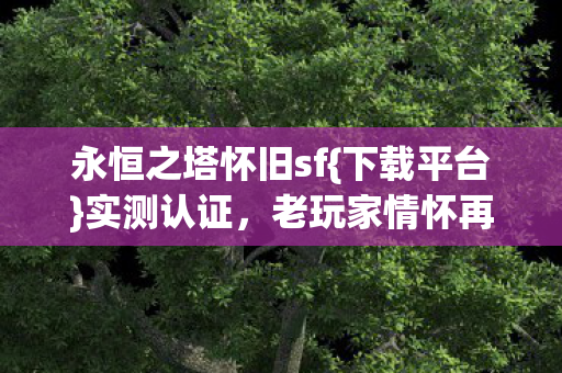 永恒之塔怀旧sf图片