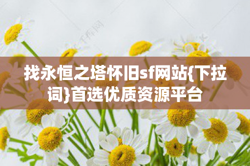 找永恒之塔怀旧sf网站图片