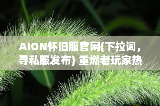 AION怀旧服官网图片