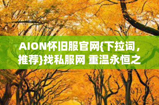 找私服网 重温永恒之塔热血图片