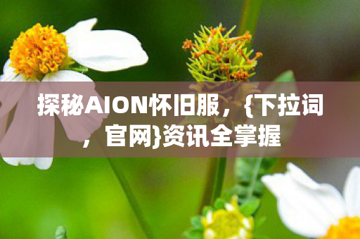 探秘AION怀旧服图片