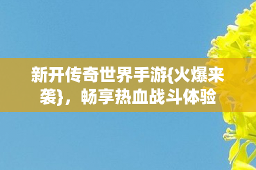 新开传奇世界手游图片
