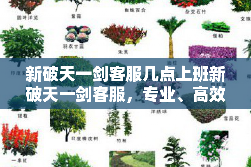 新破天一剑客服几点上班新破天一剑客服,专业、高效、贴心的服务体验,新破天一剑客服,专业、高效、贴心的服务体验 新破天一剑客服几点上班新破天一剑客服,专业、高效、贴心的服务体验,新破天一剑客服,专业、高效、贴心的服务体验