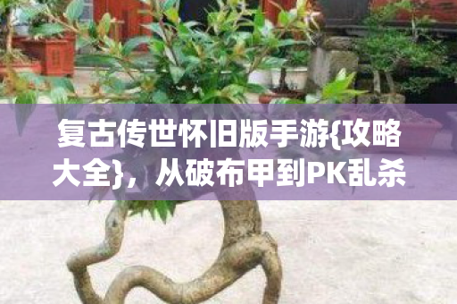 复古传世怀旧版手游{攻略大全}，从破布甲到PK乱杀！