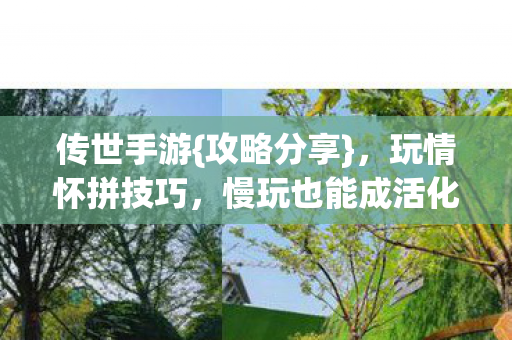 慢玩也能成活化石图片