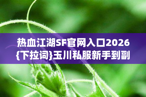 热血江湖SF官网入口2026图片