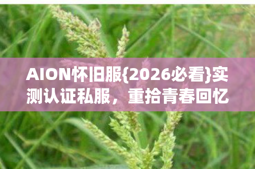 AION怀旧服图片