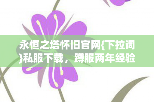 永恒之塔怀旧官网图片