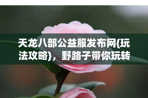 野路子带你玩转宠物阵营图片