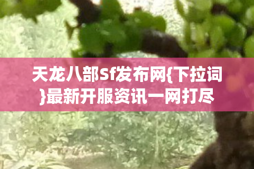 最新开服资讯一网打尽图片
