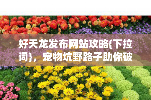 好天龙发布网站攻略{下拉词},宠物坑野路子助你破阵营 好天龙发布网站攻略{下拉词},宠物坑野路子助你破阵营