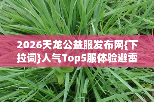 2026天龙公益服发布网图片