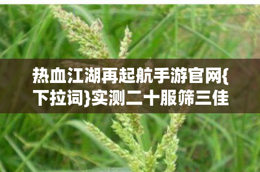 热血江湖再起航手游官网图片