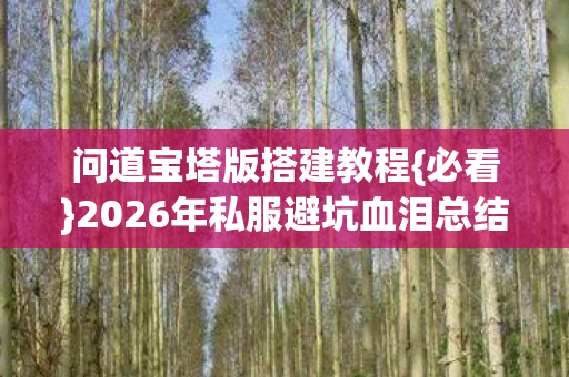 问道宝塔版搭建教程{必看}2026年私服避坑血泪总结