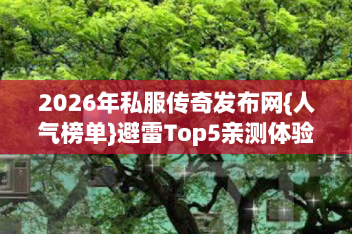2026年私服传奇发布网{人气榜单}避雷Top5亲测体验
