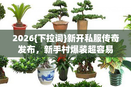 2026{下拉词}新开私服传奇发布,新手村爆装超容易 2026{下拉词}新开私服传奇发布,新手村爆装超容易