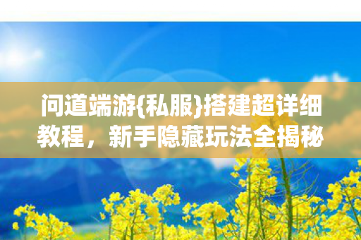 新手隐藏玩法全揭秘图片