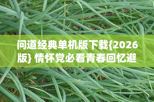 问道经典单机版下载{2026版} 情怀党必看青春回忆避雷攻略