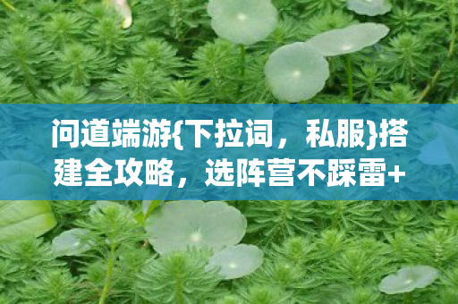 选阵营不踩雷图片