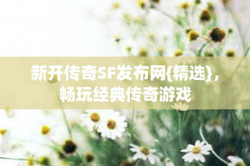 新开传奇SF发布网图片