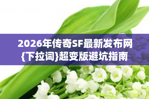 2026年传奇SF最新发布网{下拉词}超变版避坑指南 2026年传奇SF最新发布网{下拉词}超变版避坑指南