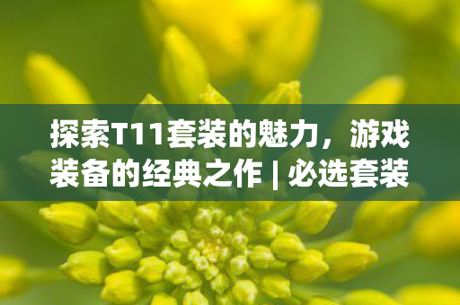 探索T11套装的魅力,游戏装备的经典之作 | 必选套装 探索T11套装的魅力,游戏装备的经典之作 | 必选套装