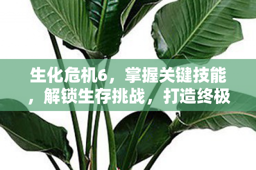 打造终极生存装备图片