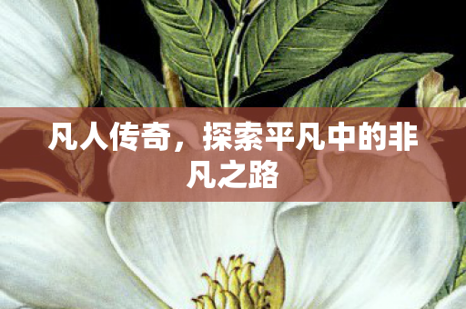 探索平凡中的非凡之路图片