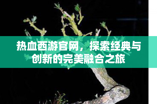 探索经典与创新的完美融合之旅图片