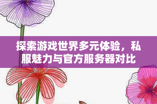 私服魅力与官方服务器对比图片