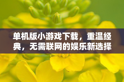 无需联网的娱乐新选择图片
