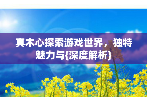真木心探索游戏世界图片