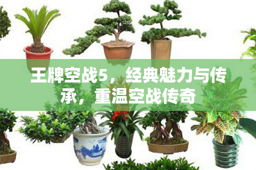 经典魅力与传承图片