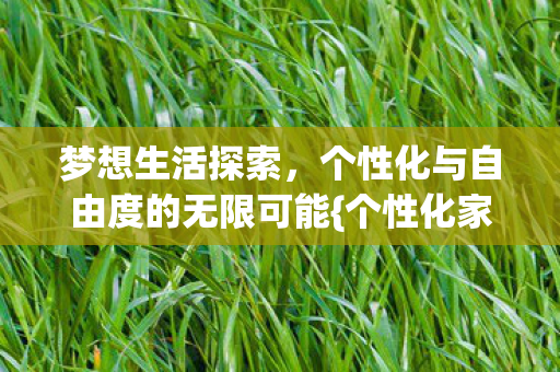 个性化与自由度的无限可能图片