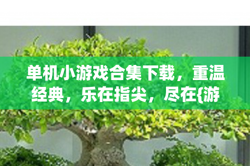 单机小游戏合集下载图片