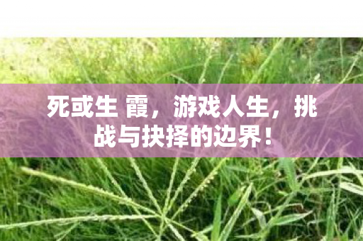 挑战与抉择的边界图片