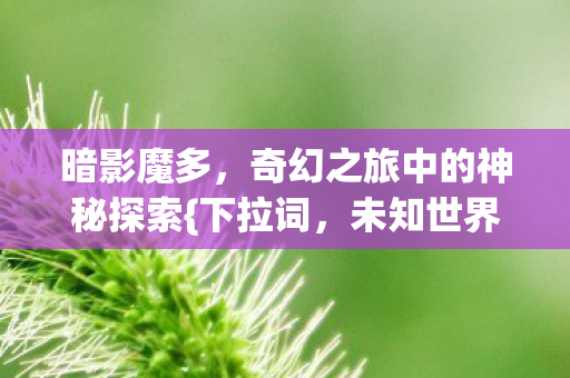 奇幻之旅中的神秘探索图片