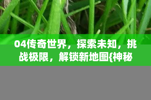 04传奇世界图片