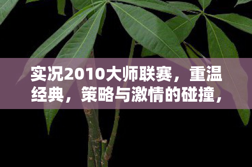 实况2010大师联赛图片