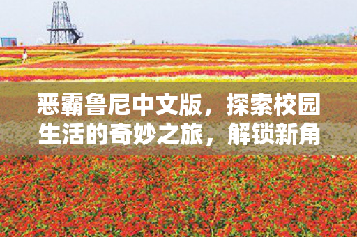 探索校园生活的奇妙之旅图片
