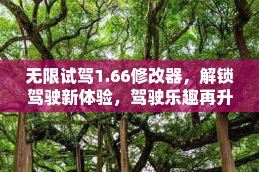 解锁驾驶新体验图片