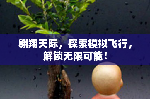 探索模拟飞行图片